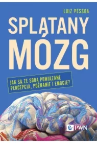 Splątany mózg