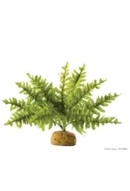 Roślina sztuczna &ndash; Paproć Boston Fern, S