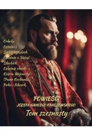 Powieści Józefa Ignacego Kraszewskiego. Tom 16