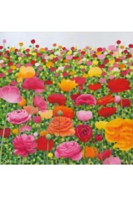 Karnet z kopertą Jaskier