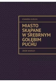 Miasto skąpane w srebrnym gołębim puchu