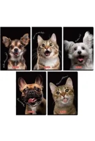 Zeszyt do słówek A6/16K kratka Crazy Animal(20 szt)