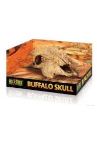 Kryjówka Czaszka bawoła