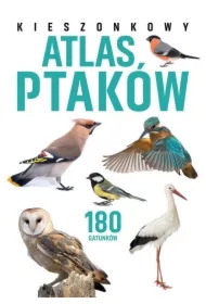 Kieszonkowy atlas ptaków. 180 gatunków