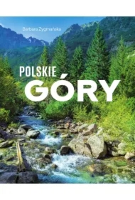 Polskie góry