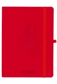 Kalendarz szkolny 2024/25 B6 tygodniowy Salsa czerwony