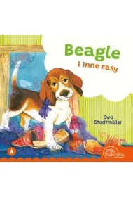 Beagle i inne rasy