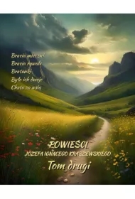 Powieści Józefa Ignacego Kraszewskiego. Tom 2