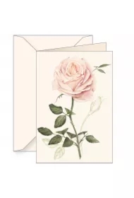 Karnet B6 z kopertą Róża
