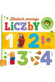 MALUCH POZNAJE LICZBY. KSIĄŻECZKA MĄDREGO DZIECKA