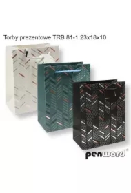 Torebka prezentowa 23x18x10cm MIX