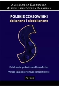 Polskie czasowniki dokonane i niedokonane. Słownik