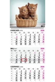 Kalendarz 2026 trójdzielny na spirali Koty
