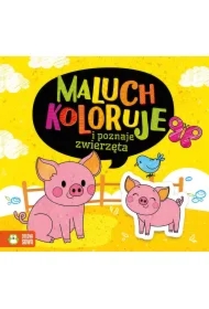 Maluch koloruje i poznaje zwierzęta