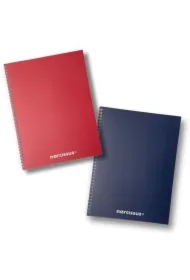 Kołonotatnik swing mono bg a4 80k kratka 80g