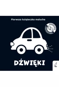 Dźwięki. Pierwsza książeczka malucha