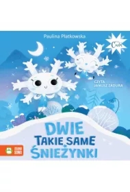 Dwie takie same śnieżynki
