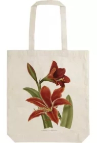 Torba bawełniana STBAG37 Amarylis Shopperka