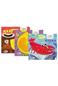 Pakiet Dotykam, poznaję: Pojazdy, Owoce, Rzeka