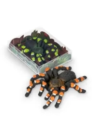 Zdjęcia - Gumki i korektory Gumka do ścierania tarantula MIX