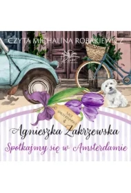Saga amsterdamska. Tom 4. Spotkajmy się w Amsterdamie