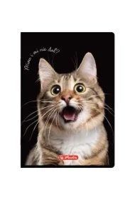 Zeszyt A5 Crazy Animal z marginesem