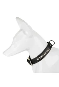 Obroża dla psa, wzór kostki, 16MM/35CM czarna