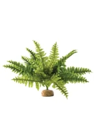 Roślina sztuczna &ndash; Paproć Boston Fern, M