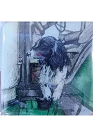 Magnes FM256 Pies Austin