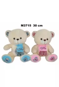 Miś 30cm MIX