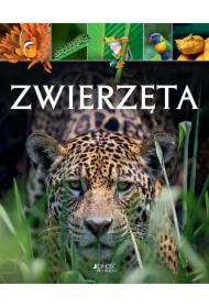 Zwierzęta