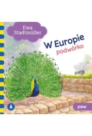 W Europie. Podwórko. Paw