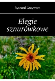 Elegie sznurówkowe