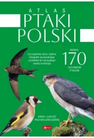 Atlas ptaków Polski
