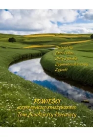 Powieści Józefa Ignacego Kraszewskiego. Tom 29
