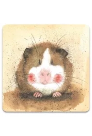 Magnes FM74 Świnka morska Gilbert