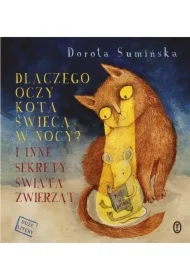 Dlaczego oczy kota świecą w nocy?