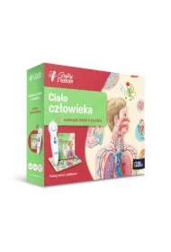 Czytaj z Albikiem. Zestaw. Ciało Człowieka