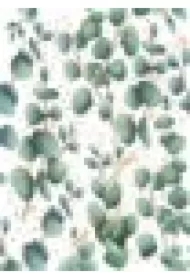 Karnet B8 mini Eukaliptus