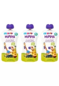 Mus owocowy Gruszki-Śliwki-Czarne porzeczki po 6. miesiącu zestaw