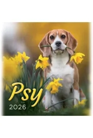 Kalendarz 2026 wieloplanszowy Psy