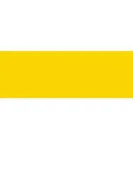 Chorągiewka Papieska kpl 20 szt