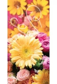 Karnet DL Uniwersalny