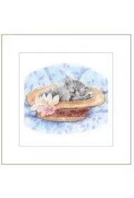 Karnet G04 41G 052 + koperta Kot rysowany