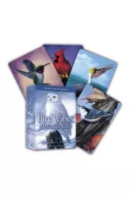 Bird Vibes, karty do medytacji, Beyond Words
