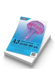 Papier kredowy powlekany A3 350 g/m gloss 100 ark
