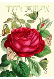 Karnet B6 brokat z kopertą Urodziny Róża