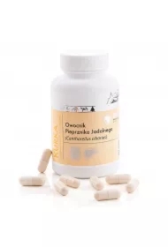 Kurka Owocnik Pieprznika Jadalnego Suplement diety