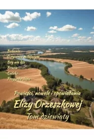 Powieści, nowele i opowiadania Elizy Orzeszkowej. Tom IX