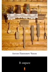 В овраге (W wąwozie) - e-book w języku rosyjskim